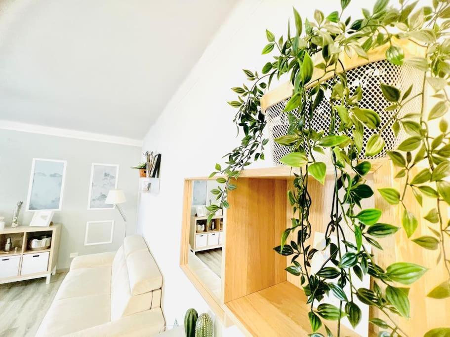Suite Colibri - Sanremo Centro Exteriér fotografie